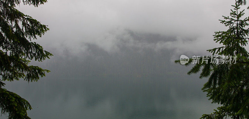 贝克山-斯诺夸尔米国家森林- 2011年7月